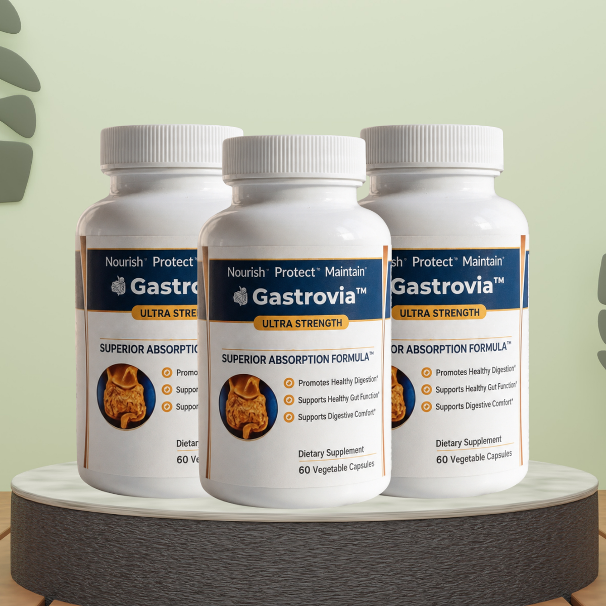 Gastrovia